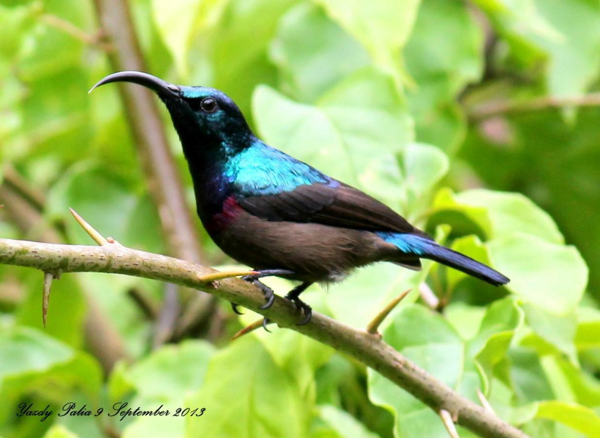 Woodside Homestay Wayanad Batheri ภายนอก รูปภาพ