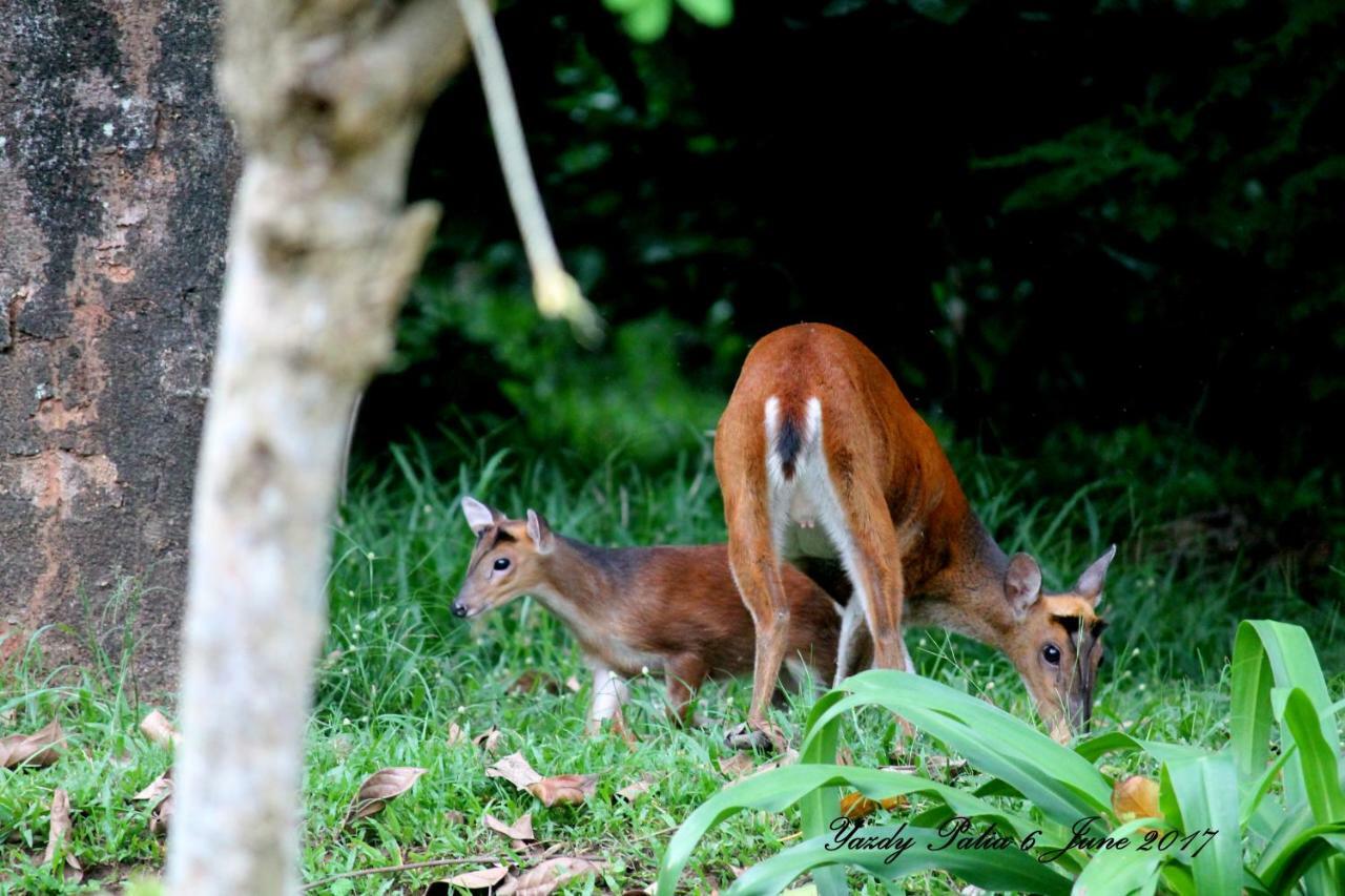Woodside Homestay Wayanad Batheri ภายนอก รูปภาพ