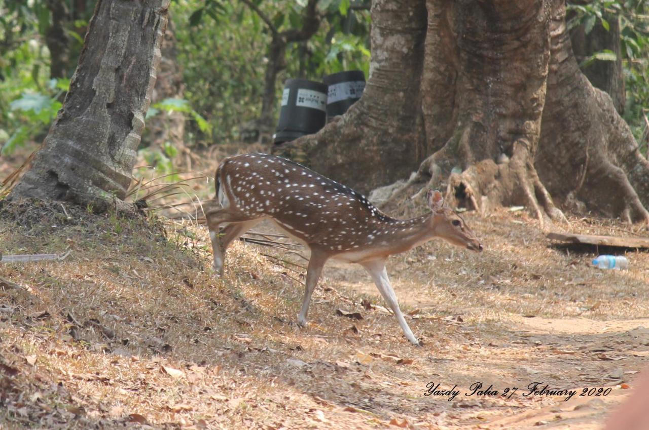 Woodside Homestay Wayanad Batheri ภายนอก รูปภาพ