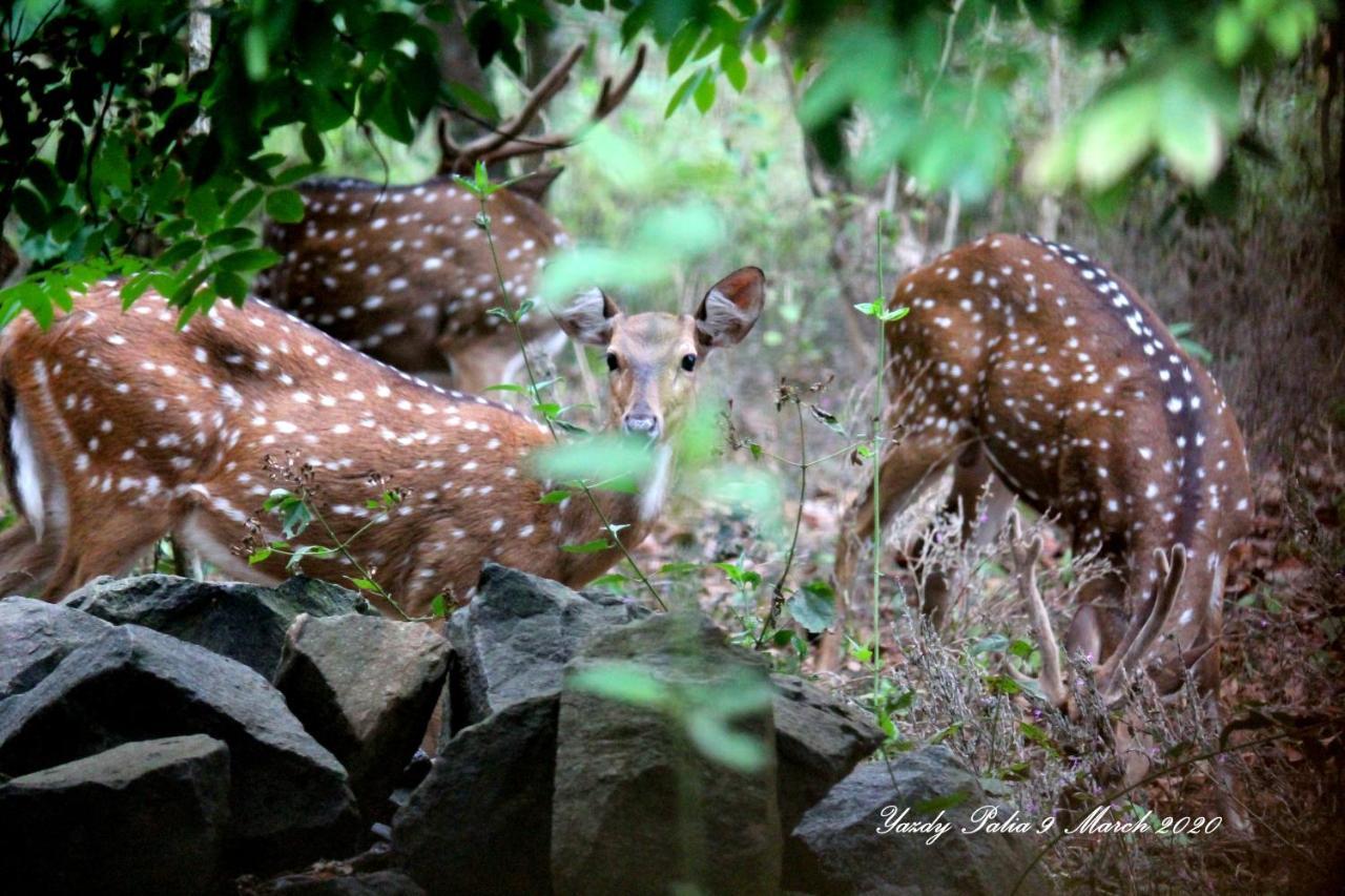 Woodside Homestay Wayanad Batheri ภายนอก รูปภาพ